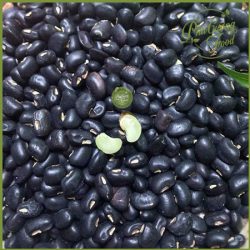 Đậu đen xanh lòng