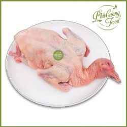 Chim bồ câu sơ chế