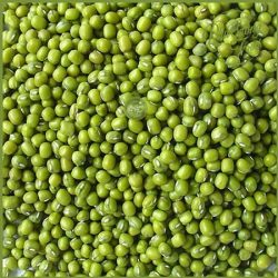 đậu xanh nguyên vỏ