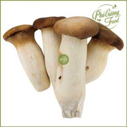 Nấm đùi gà